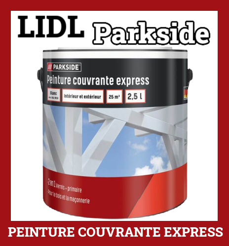 Peinture couvrante express Lidl Parkside